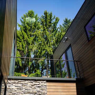 DK Design & Build LLC / Atrium Home