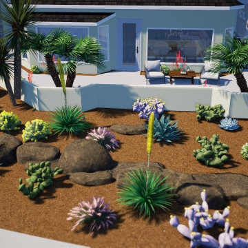 Desert Outlook