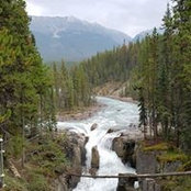 Ann Stone's photo