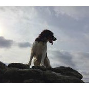Glen Eggleton's photo