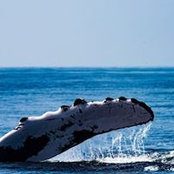 Lance Barstad's photo