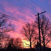 Joseph Pugh's photo
