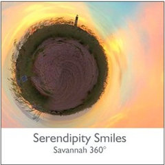Serendipity Smiles