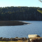 Janet Downing's photo