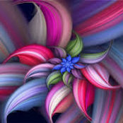 Diana Balicki's photo