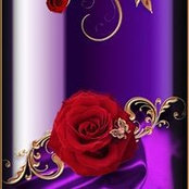 Joyce McKnights billede