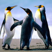Khanjan Borah's photo