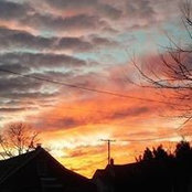 Foto von Cathy Berringer