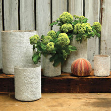 vases