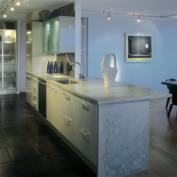 Sintesi Dove Grey High Gloss Remodel in Baltimore