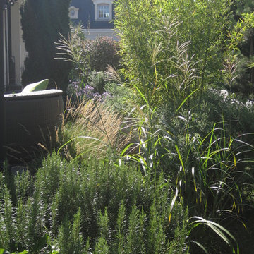Jardin contemporain - Création et aménagement du jardin d'Arnaud et Sylvie