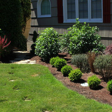 Olympic Rockeries