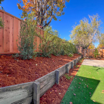 Backyard Transformation (Turf, Pavers, Shrubs, Fence)