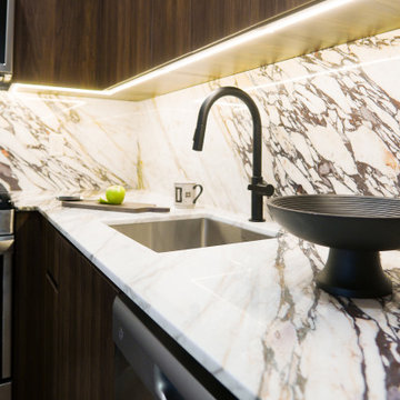 Harlem Condo Kitchen
