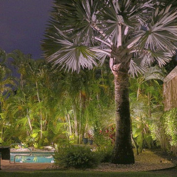 Backyard LED Lighting Design