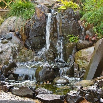 Jungle Waterscape