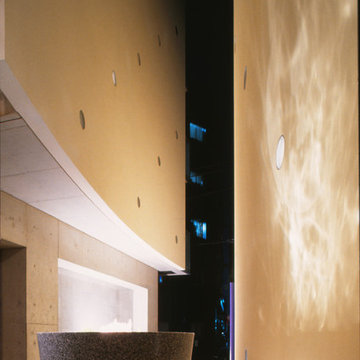RYU GAN SOU