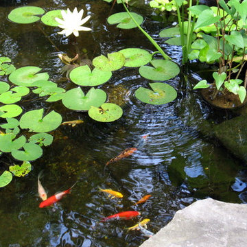 A Pond for the Front Entry