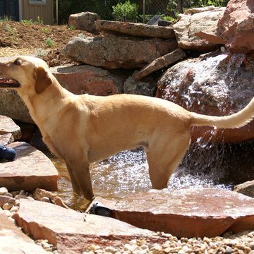 Dogs Love Water Features Too!