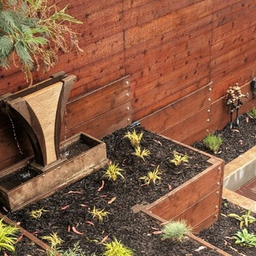 Low Voltage LED's Illuminate Drought Tolerant Planting