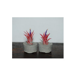 Handmade Concrete Planters - Outdoor Products