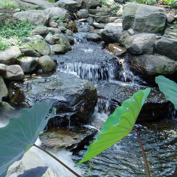 Grotto with pool house and running stream