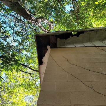 Termite Damage Is at it Again