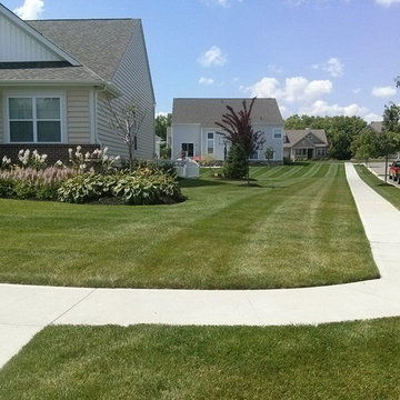 Full Service Lawn care