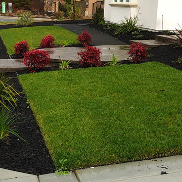 Front Yard, Back Yard, Side Yard Transformation