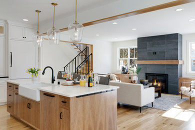 Example of a transitional home design design in Minneapolis