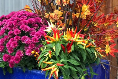 Inspiration for a landscaping in Bridgeport.