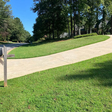 Landscape and Outdoor Property Improvement