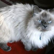 Stacy Urich's photo