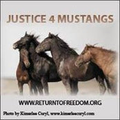 Liz Hines's photo