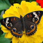 Paula DeMoss's photo