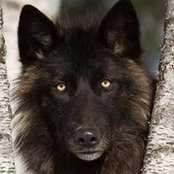 Darlene Ann's photo