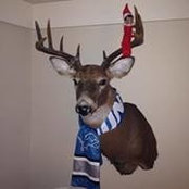 Mike Ryckeghem's photo
