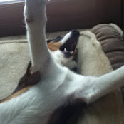 Erin Lawrence's photo