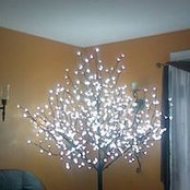 Allison Fahey's photo