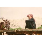Stephen Price's photo