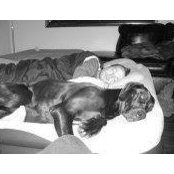 Dustin Baggaley's photo