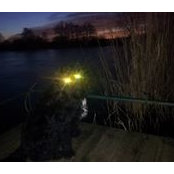 Maurice Robinson's photo