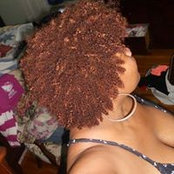 Photo de Chic Brown
