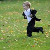 Robert Hoelzer's photo