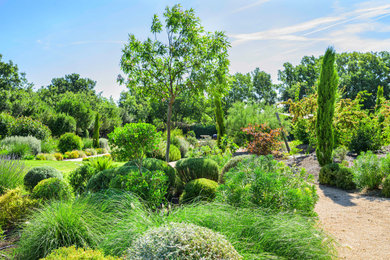 Idées déco pour un jardin avant méditerranéen avec un chemin, une exposition ensoleillée et un paillis.