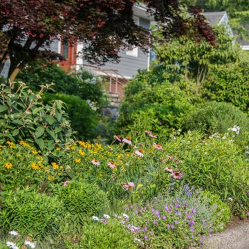 Native Plant, Lawn Replacement Landscape
