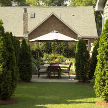 Privacy Shrubs