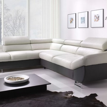Modern Fabio Sectional Sofa Sleeper with Storage