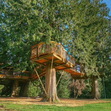 treehouse