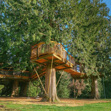 Terrapin Architecture